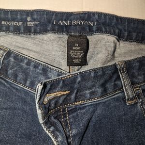 2 Lane Bryant jeans